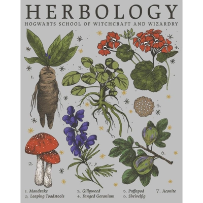 Women's Harry Potter Hogwarts Herbology T-Shirt 1 Women's Harry Potter Hogwarts Herbology T-Shirt